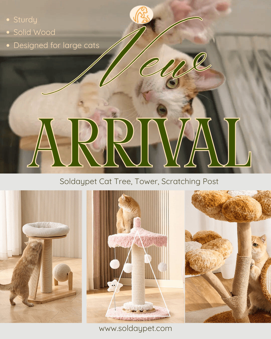 New Arrivals