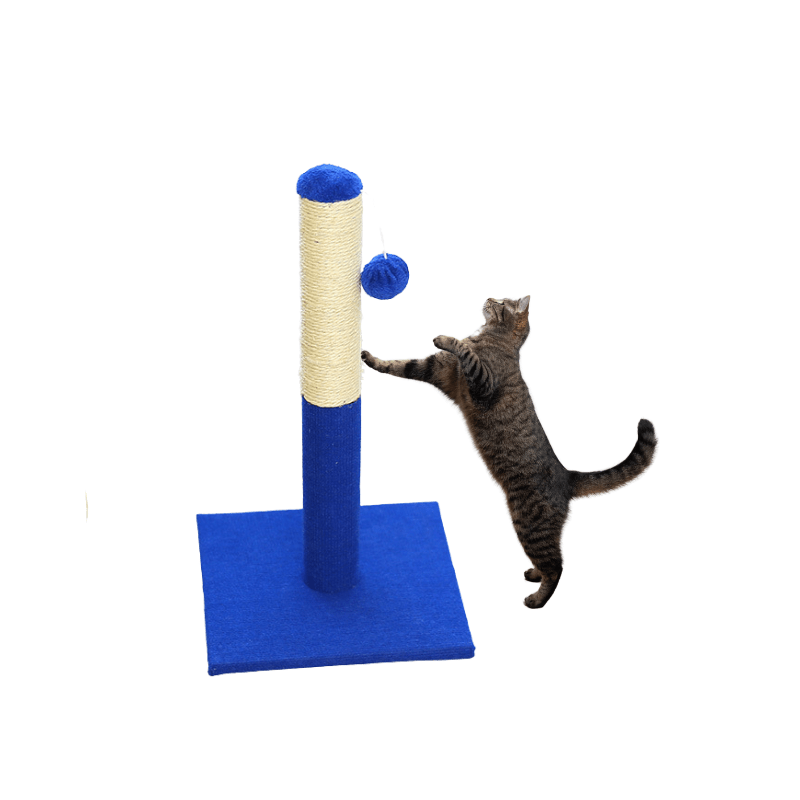 Blue Cat Scratching Post with Interactive Toys