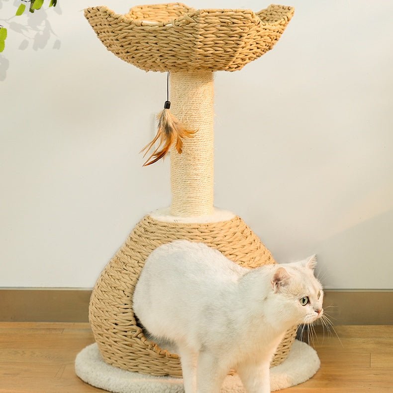 Boho Cat Candos And Tower With Cozy Bed