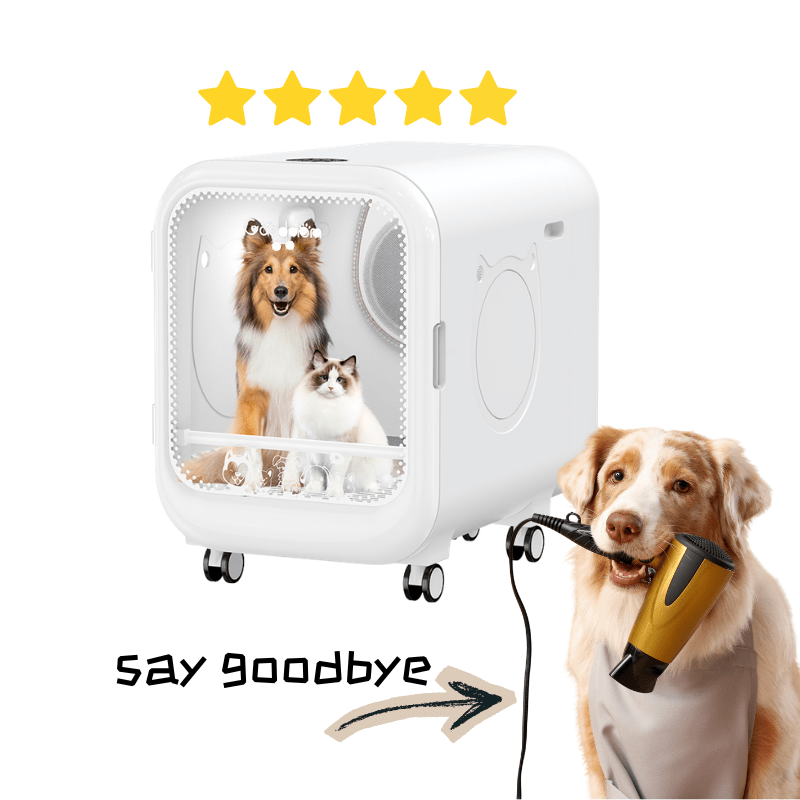 Dog Dryer Box with Negative Ion Technology for Daily Bathing and Grooming