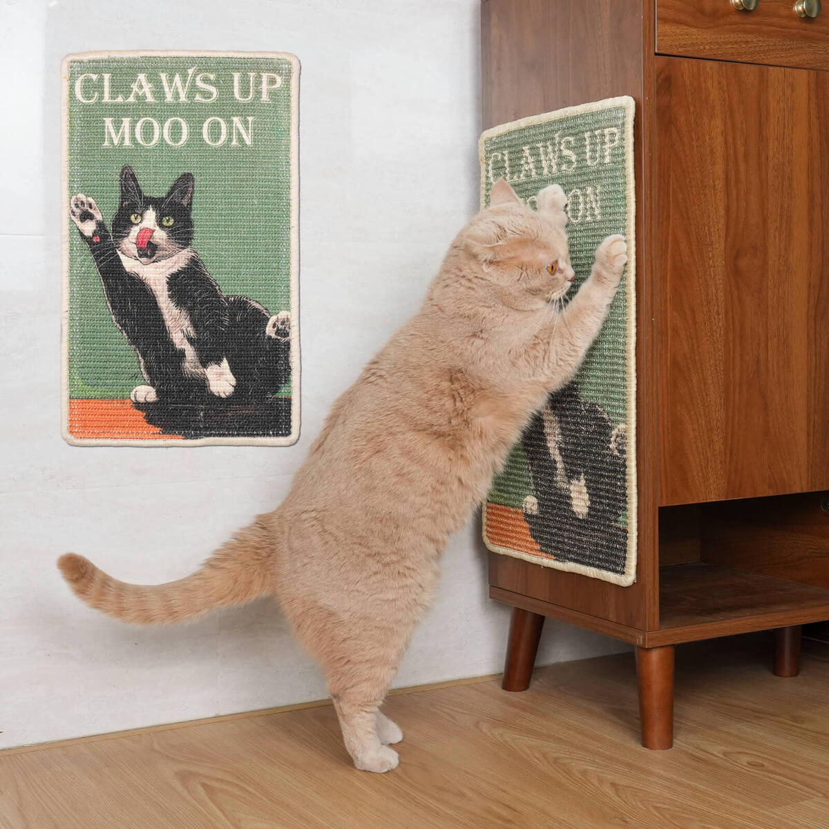 Cat Scratching 101: Why Cats Scratch & How to Protect Your Furniture